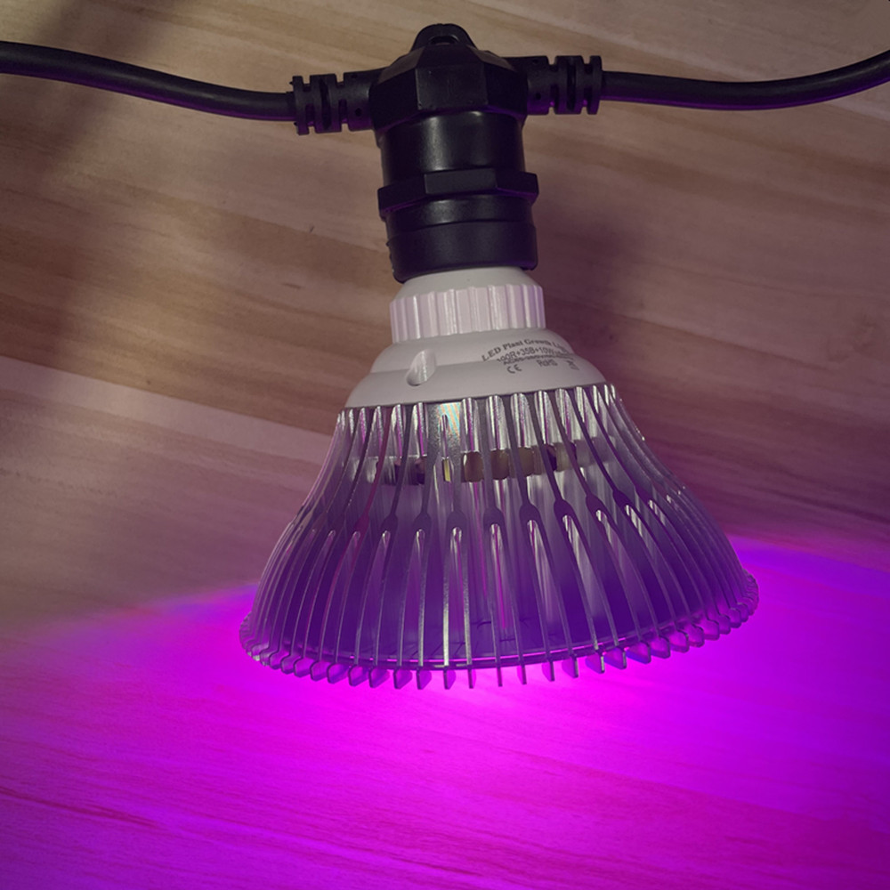 10M kabel LED-slinger van comm - Outdoor Lighting Effects recensie en prijs