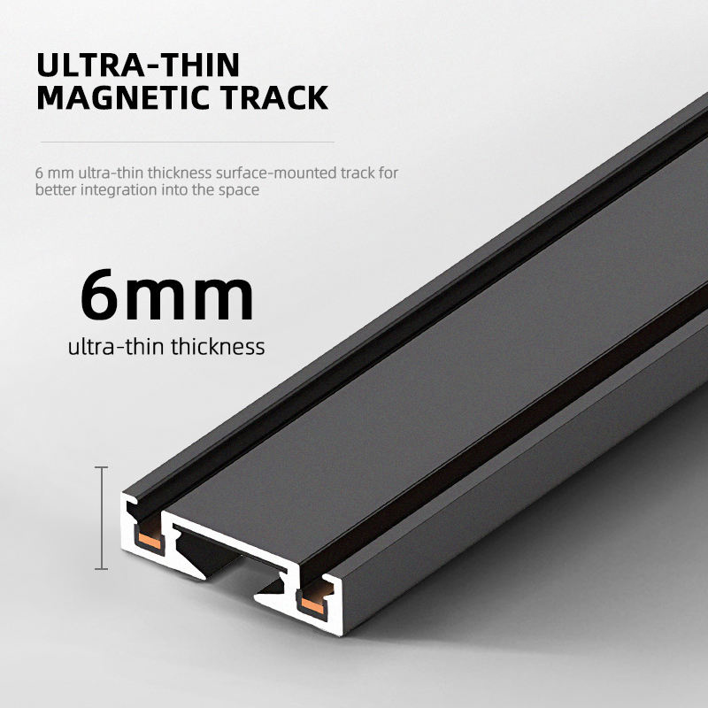 ST1-serie 3CCT Zwart Wit Ultra - Outdoor Lighting Track recensie en prijs